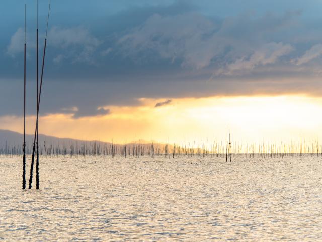 写真：有明海