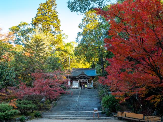 写真：仁比山神社