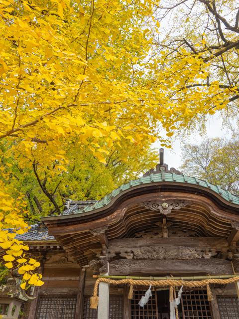 写真：綾部八幡神社