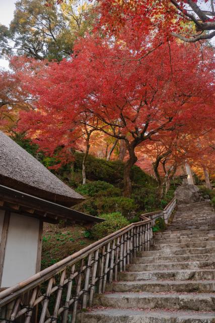 写真：大興善寺