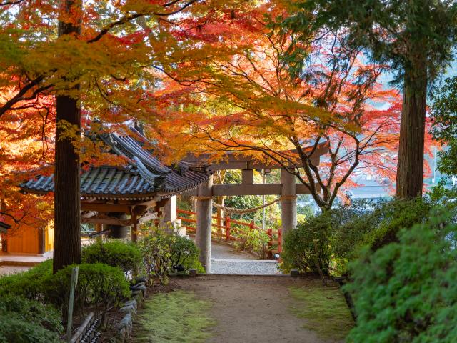 写真：大興善寺