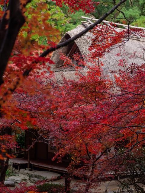 写真：九年庵