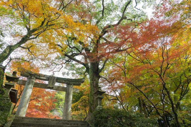 画像:仁比山神社の写真