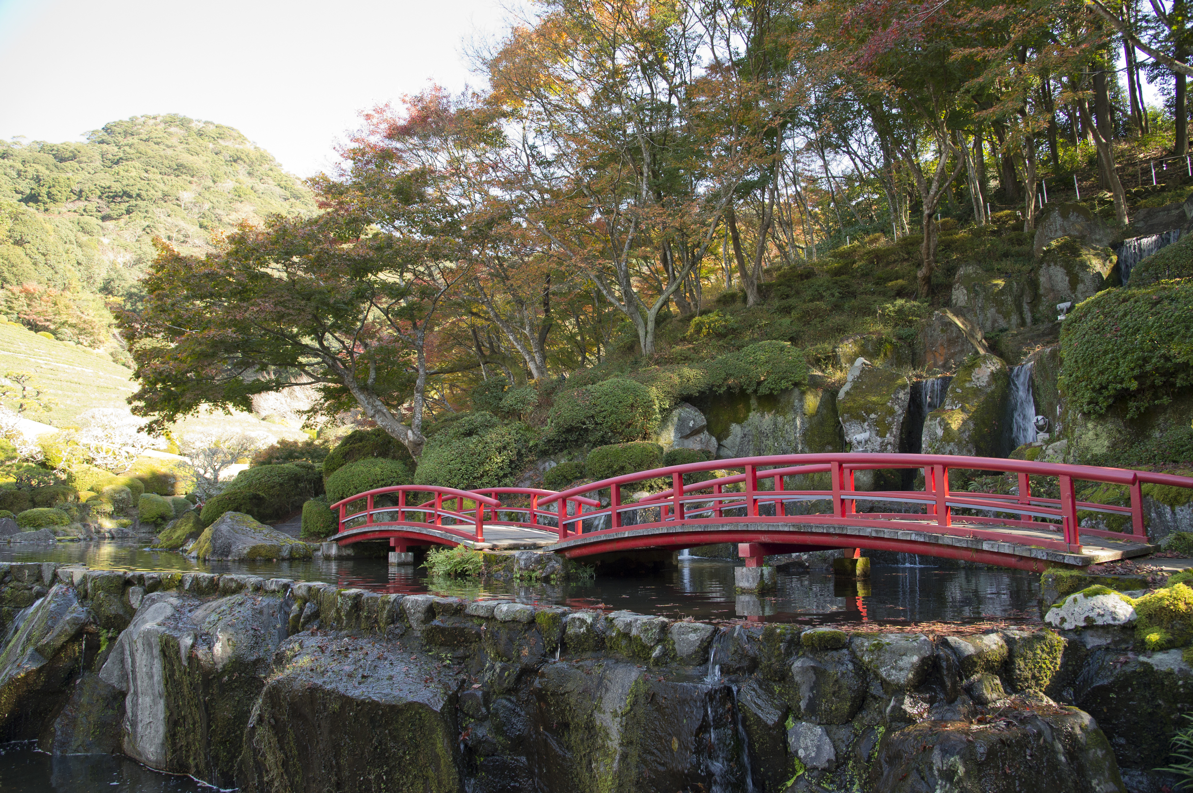 画像:慧洲園の写真