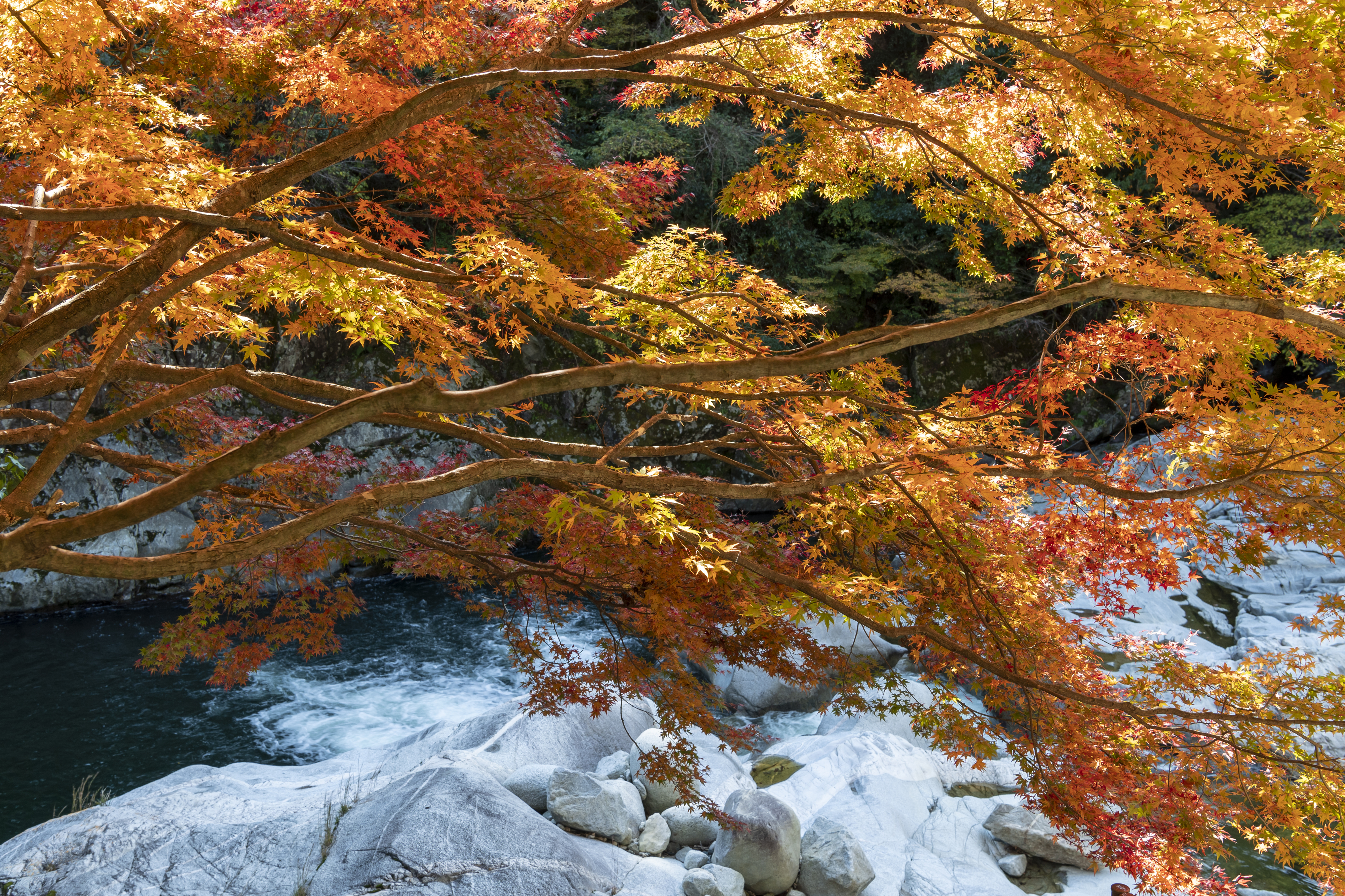 画像:雄淵・雌淵の写真