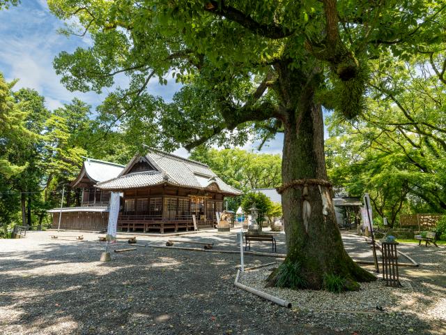 写真：福母八幡宮