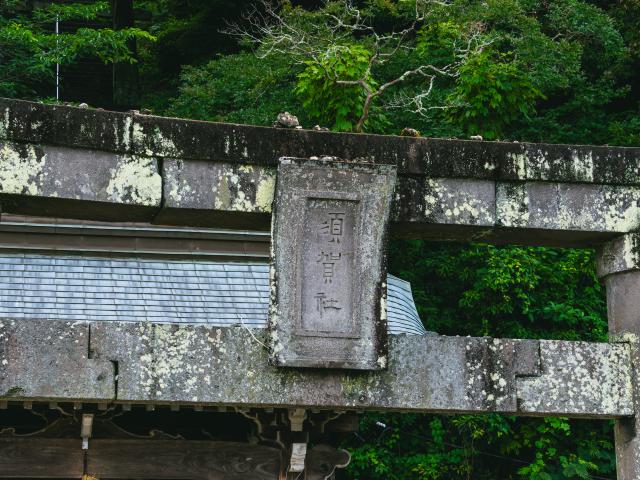 写真：須賀神社