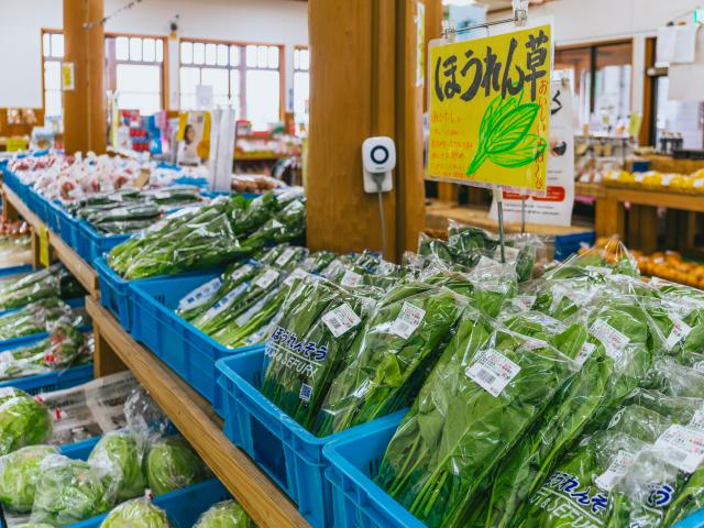 写真：道の駅吉野ヶ里「さざんか千坊館」