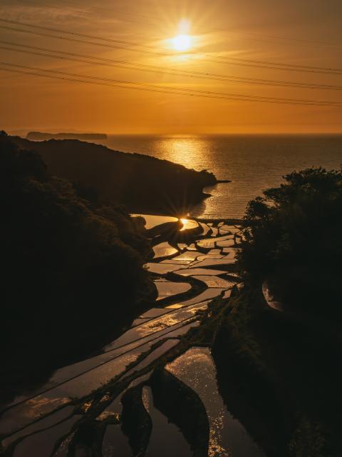 写真：浜野浦の棚田