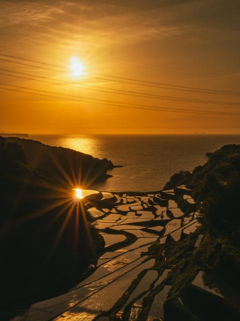 写真：浜野浦の棚田