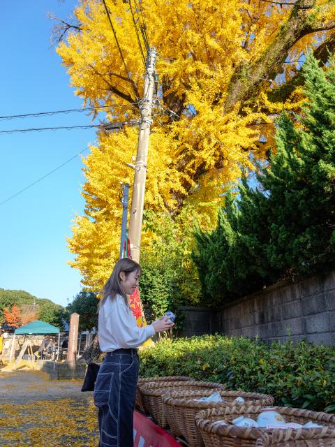 写真：秋の有田陶磁器まつり