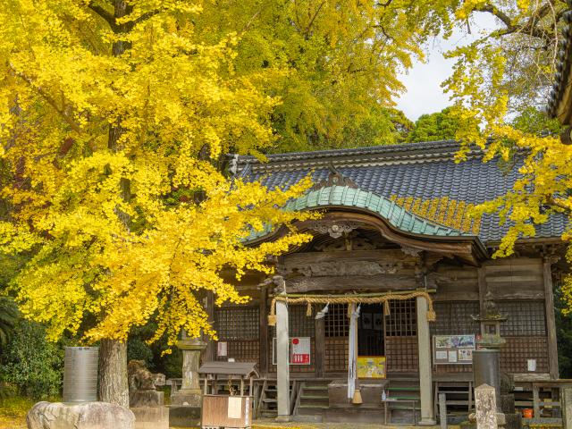 写真：綾部八幡神社