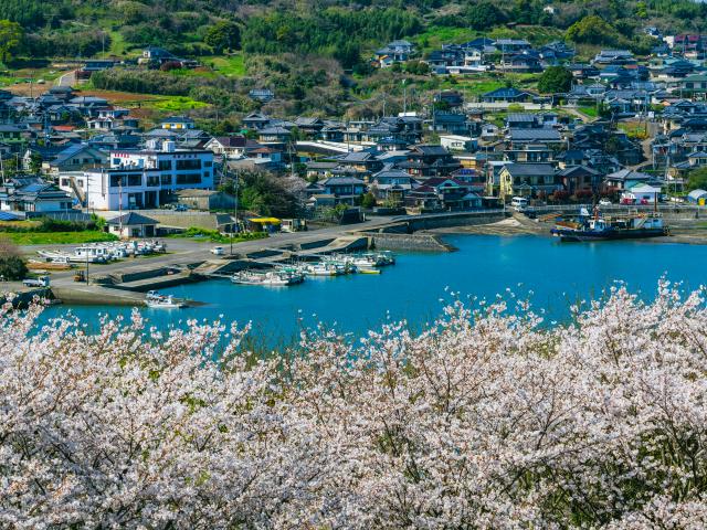 写真：竹崎城址展望台公園