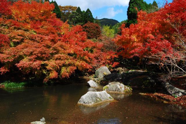 画像:環境芸術の森の写真