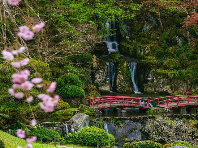 写真：慧洲園（桜）