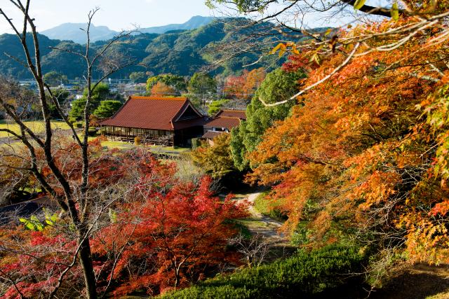 画像:西渓公園の写真