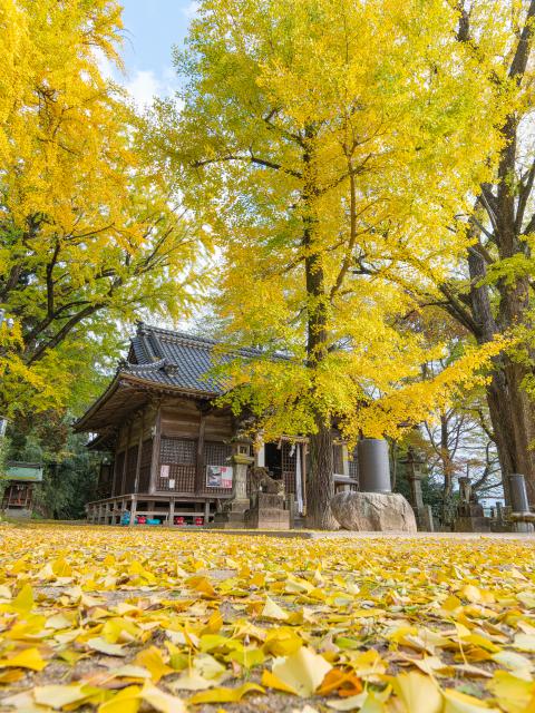 写真：綾部八幡神社