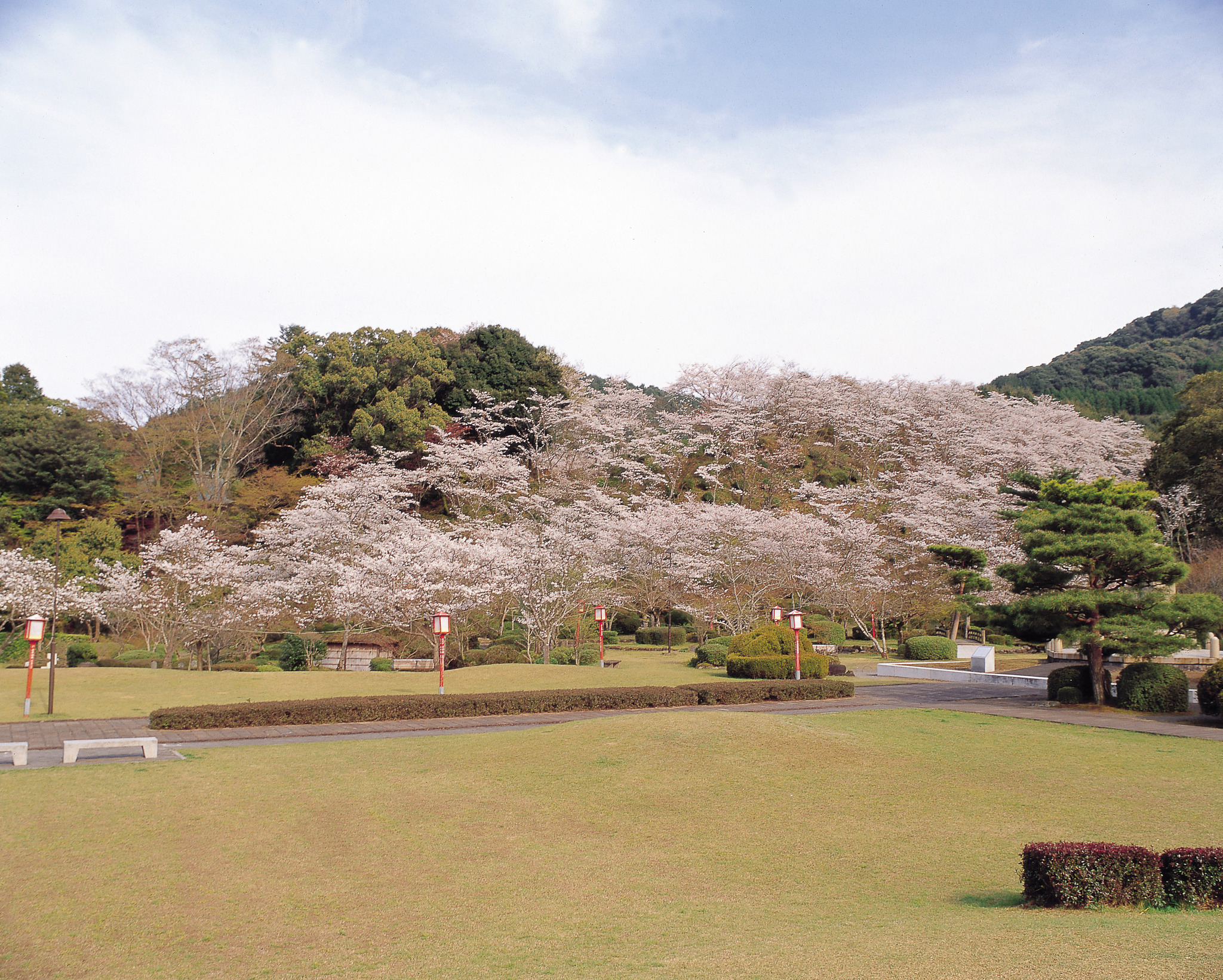 画像:西渓公園の写真