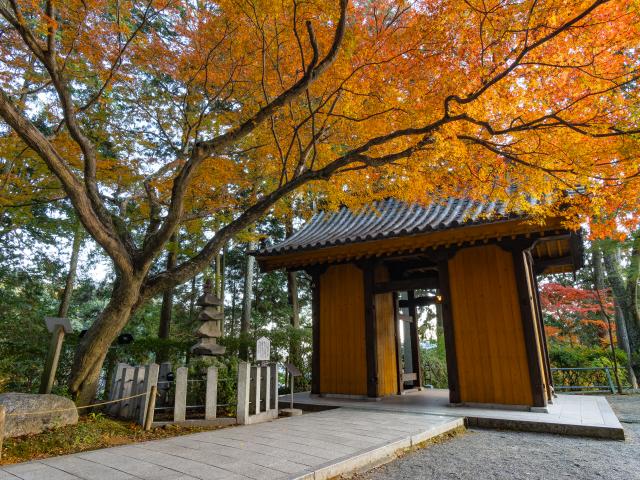 写真：大興善寺