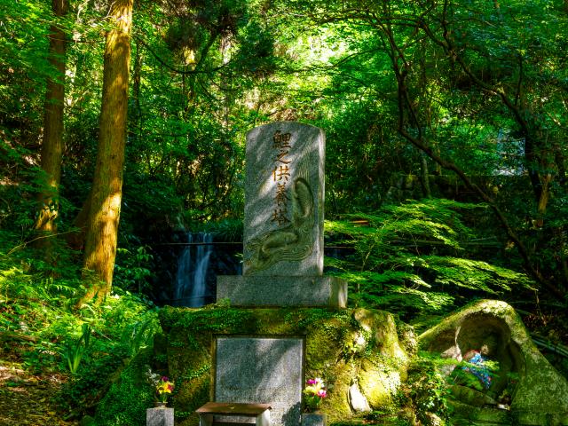 写真：清水の滝