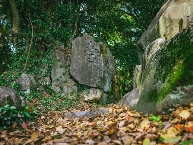 写真；須古城跡