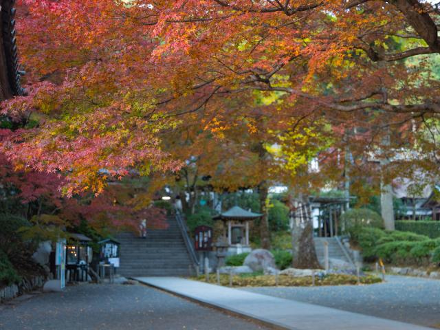 写真：大興善寺