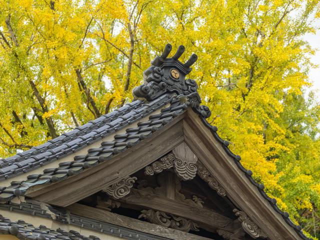 写真：綾部八幡神社