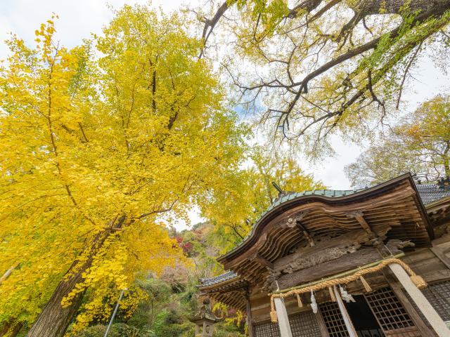 写真：綾部八幡神社