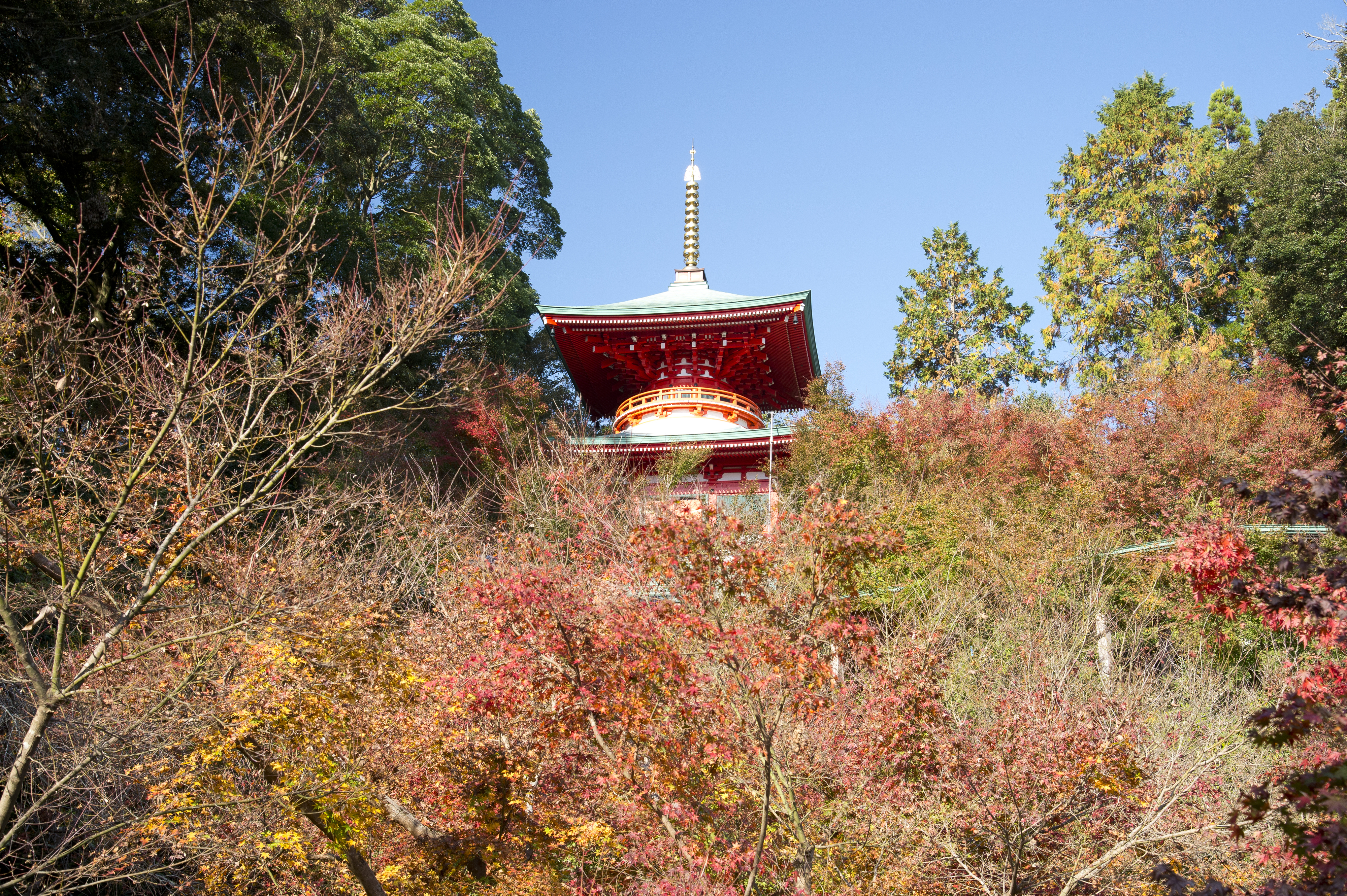 画像:高野寺の写真