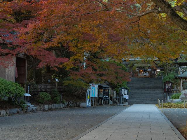 写真：大興善寺