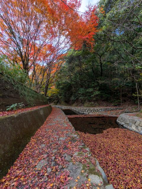 写真：竜門峡