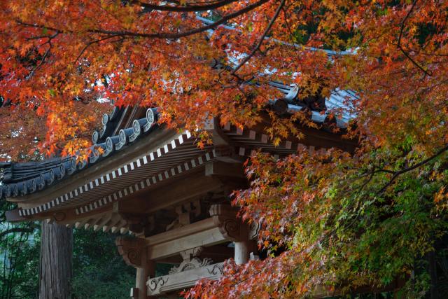 写真：大興善寺