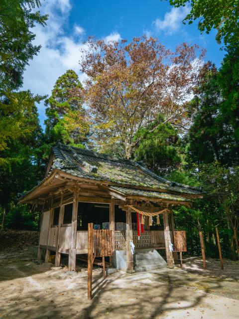 写真：大山祇神社