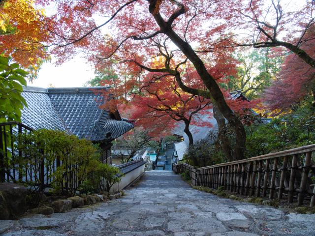 写真：大興善寺