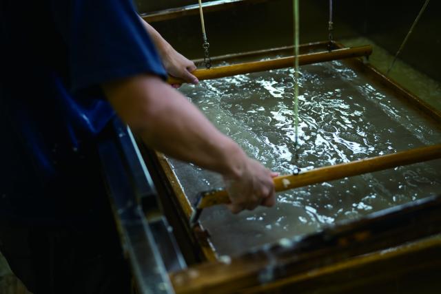 写真：名尾和紙