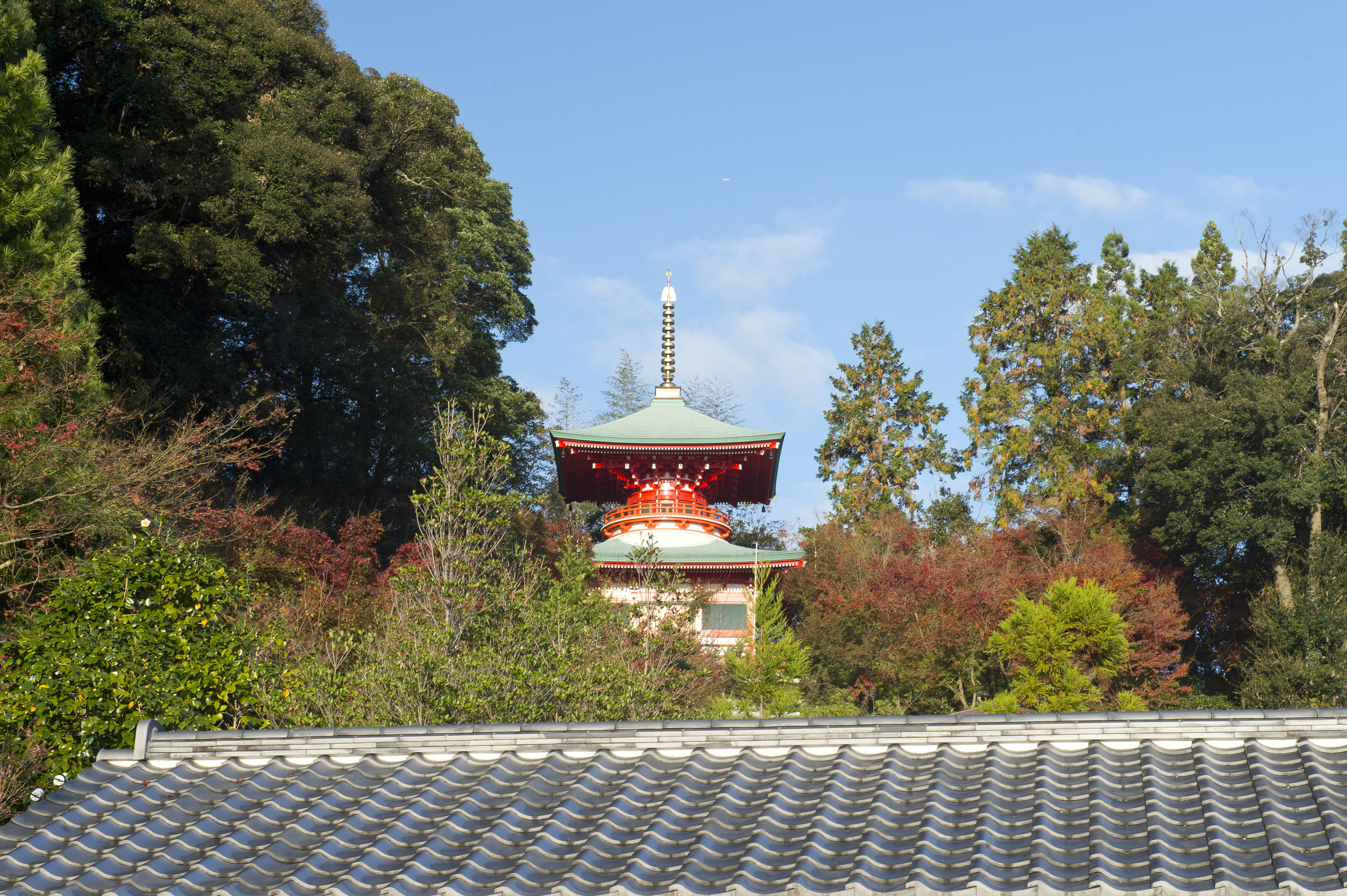 画像:高野寺の写真