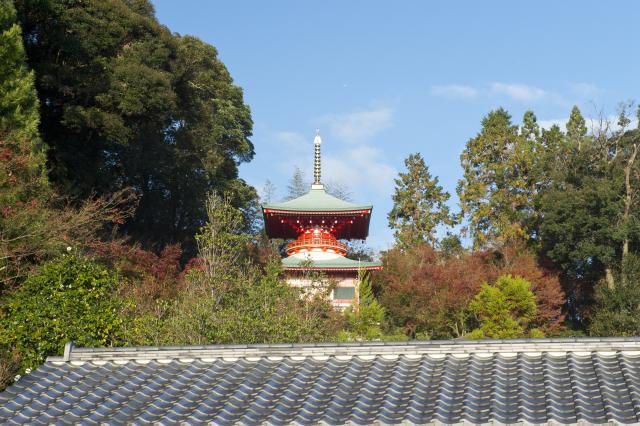 画像:高野寺の写真