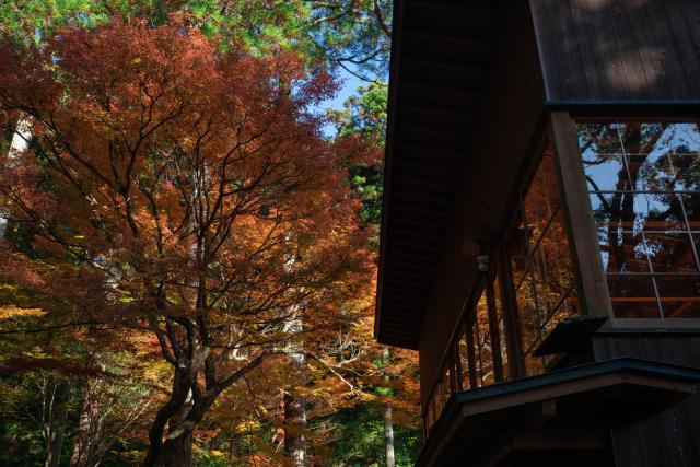 写真：大興善寺