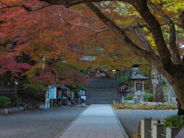 写真：大興善寺