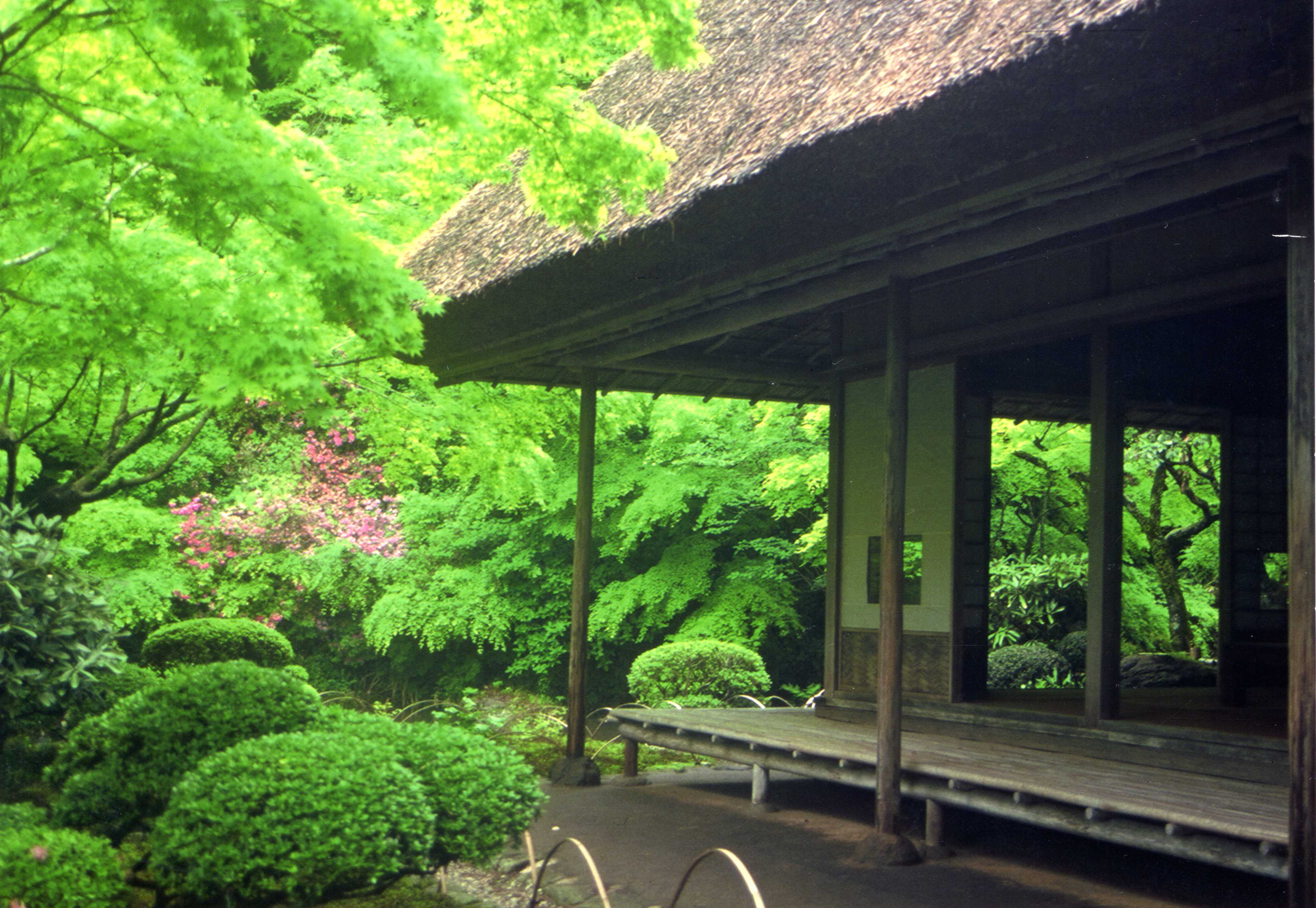 画像:春の九年庵の写真