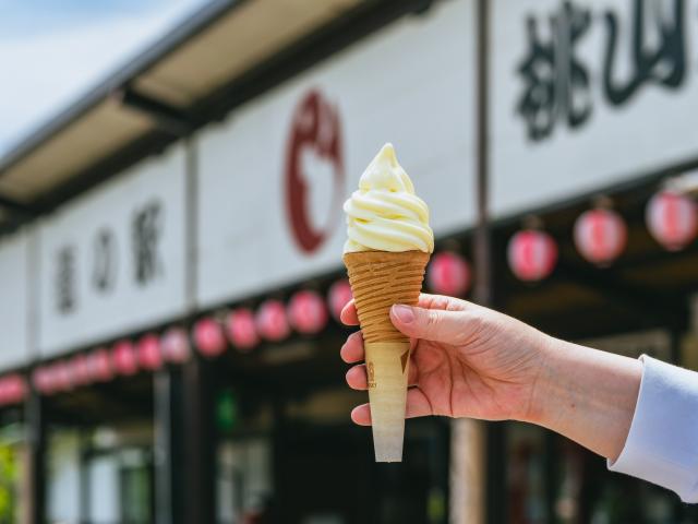 写真：道の駅「桃山天下市」