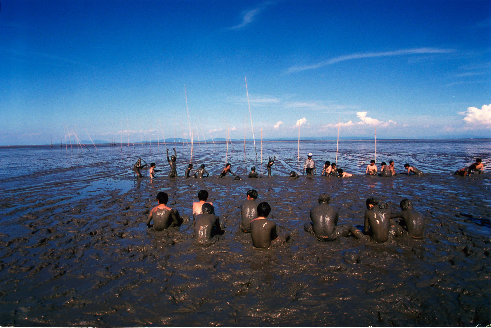 画像:干潟体験の写真