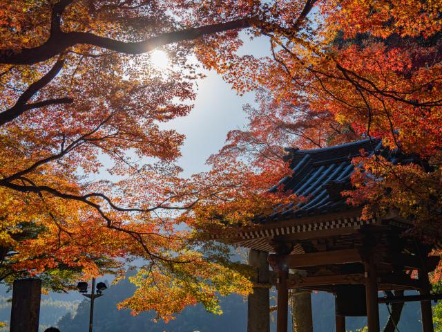 写真：大興善寺