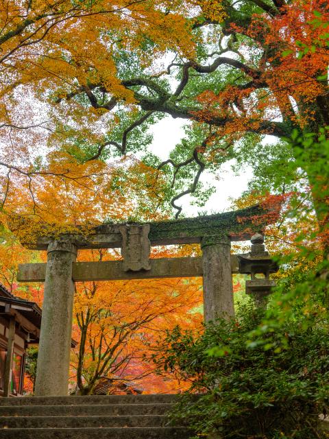 写真：仁比山神社