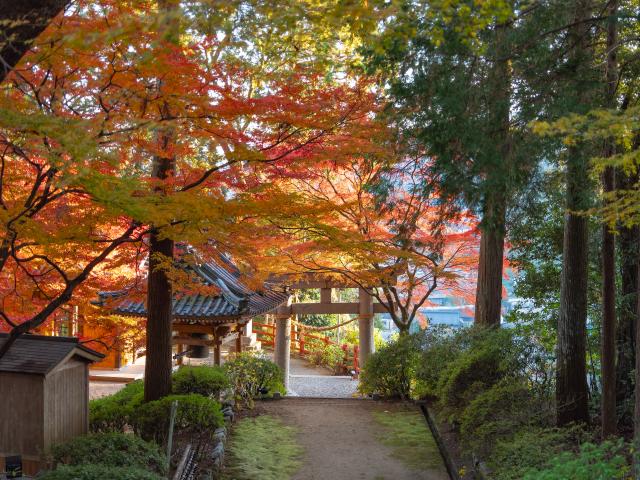 写真：大興善寺