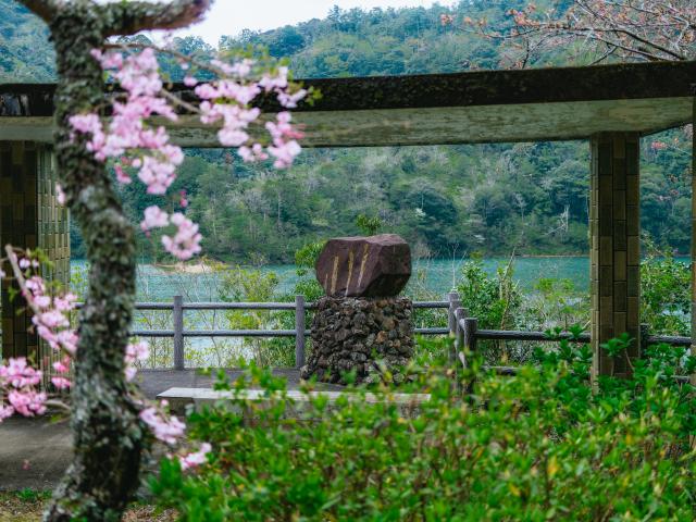 写真：有田ダム（桜）