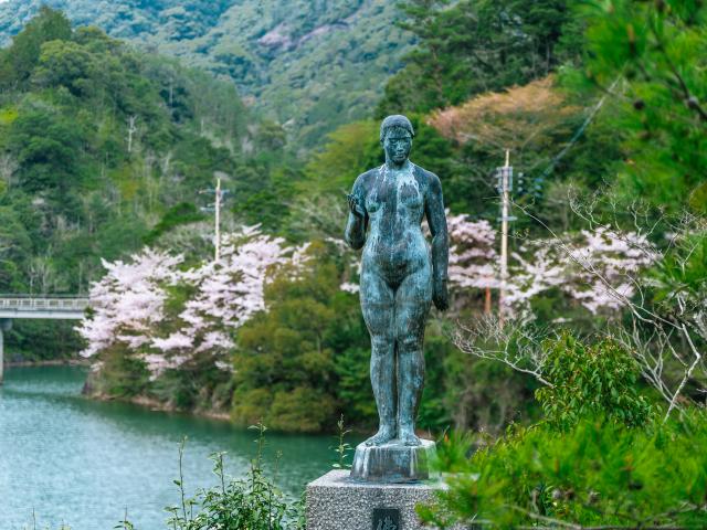 写真：有田ダム（桜）