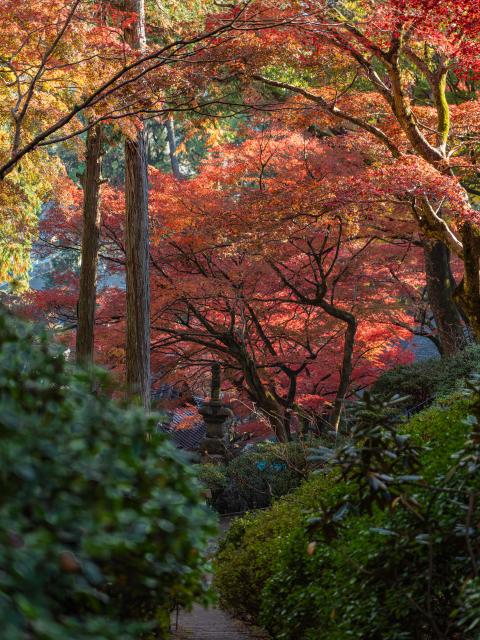 写真：大興善寺