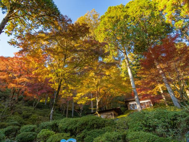 写真：大興善寺