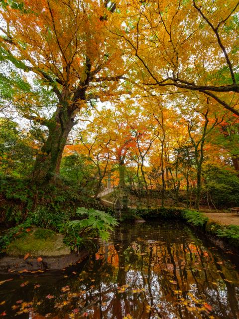 写真：仁比山神社